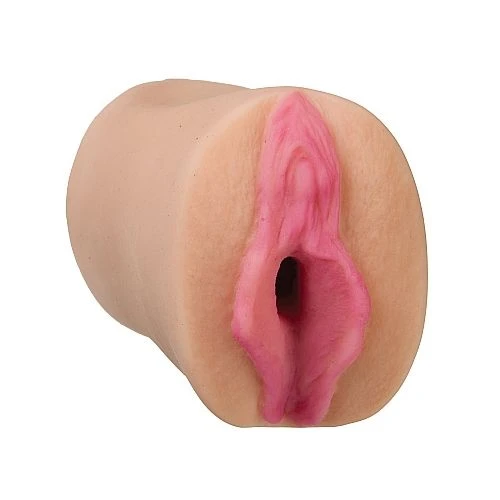 All Star Porn Star Dana DeArmond Pocket Pussy Masturbator 2 All Star Porn Star Dana DeArmond Pocket Pussy Masturbator - Image 2