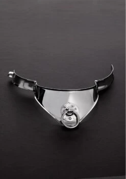 Shots - Steel Locking Cleopatra Collar With Ring (13.5")