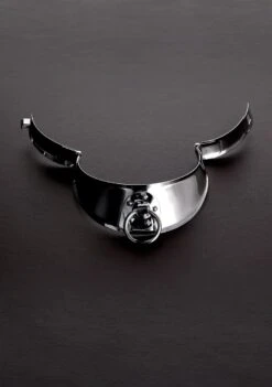 Shots - Steel Locking Men's Collar With Ring (15")