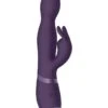 Vive Niva 360degrees Rabbit Vibrator - Purple